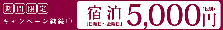 日~金|宿泊5,000円